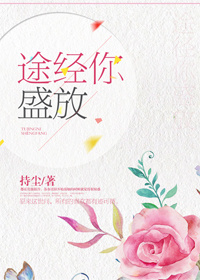 途经你盛放